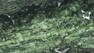 Quartzite Cosmopolitan Green